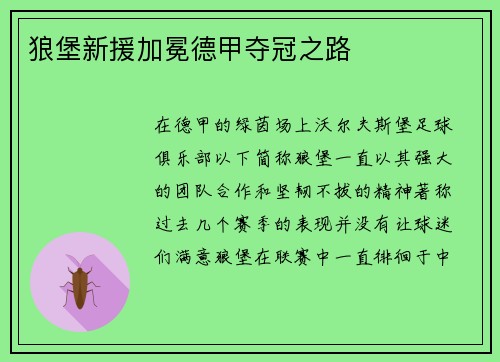 狼堡新援加冕德甲夺冠之路