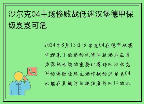 沙尔克04主场惨败战低迷汉堡德甲保级岌岌可危