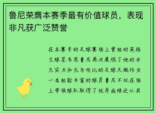 鲁尼荣膺本赛季最有价值球员，表现非凡获广泛赞誉